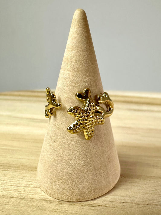 Bague Mnemba
